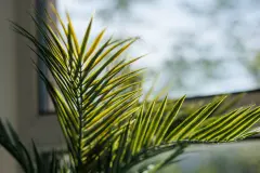 Smart window blocking sunlight and heat through large glass windows